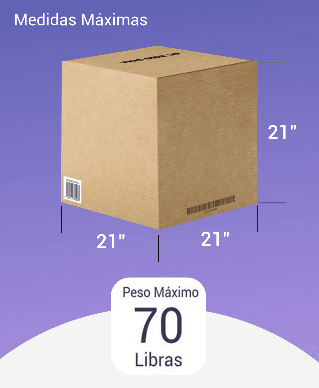 Imagen con caja de peso y medidas maximas.